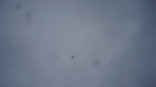 DSC06872