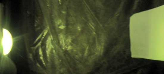 0741g.jpg