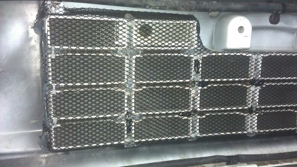 IMAG0146.jpg