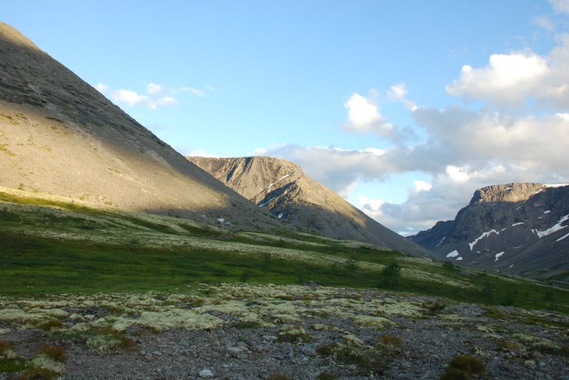 3d4f19059976.jpg