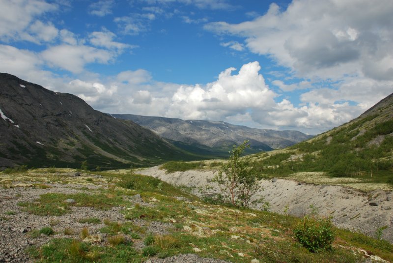 a5c2361788bb.jpg