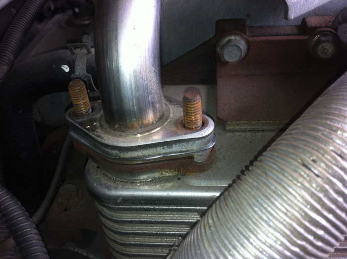 IMG_1796.gif