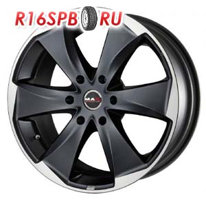 raptor6.jpg