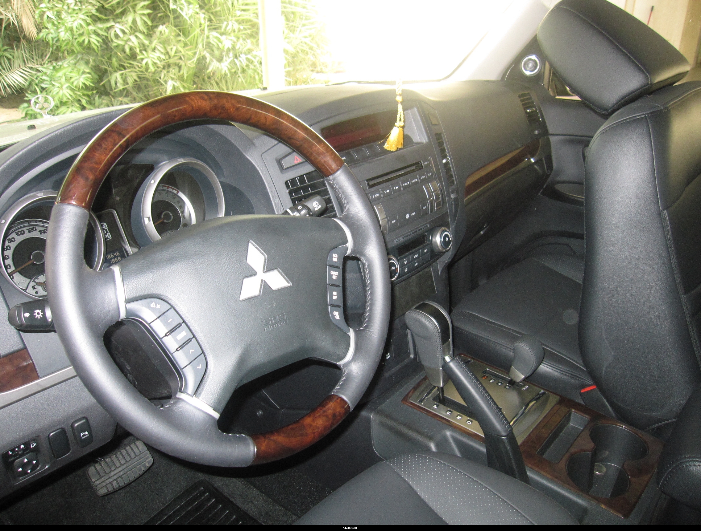 a4e75f5a17.jpg