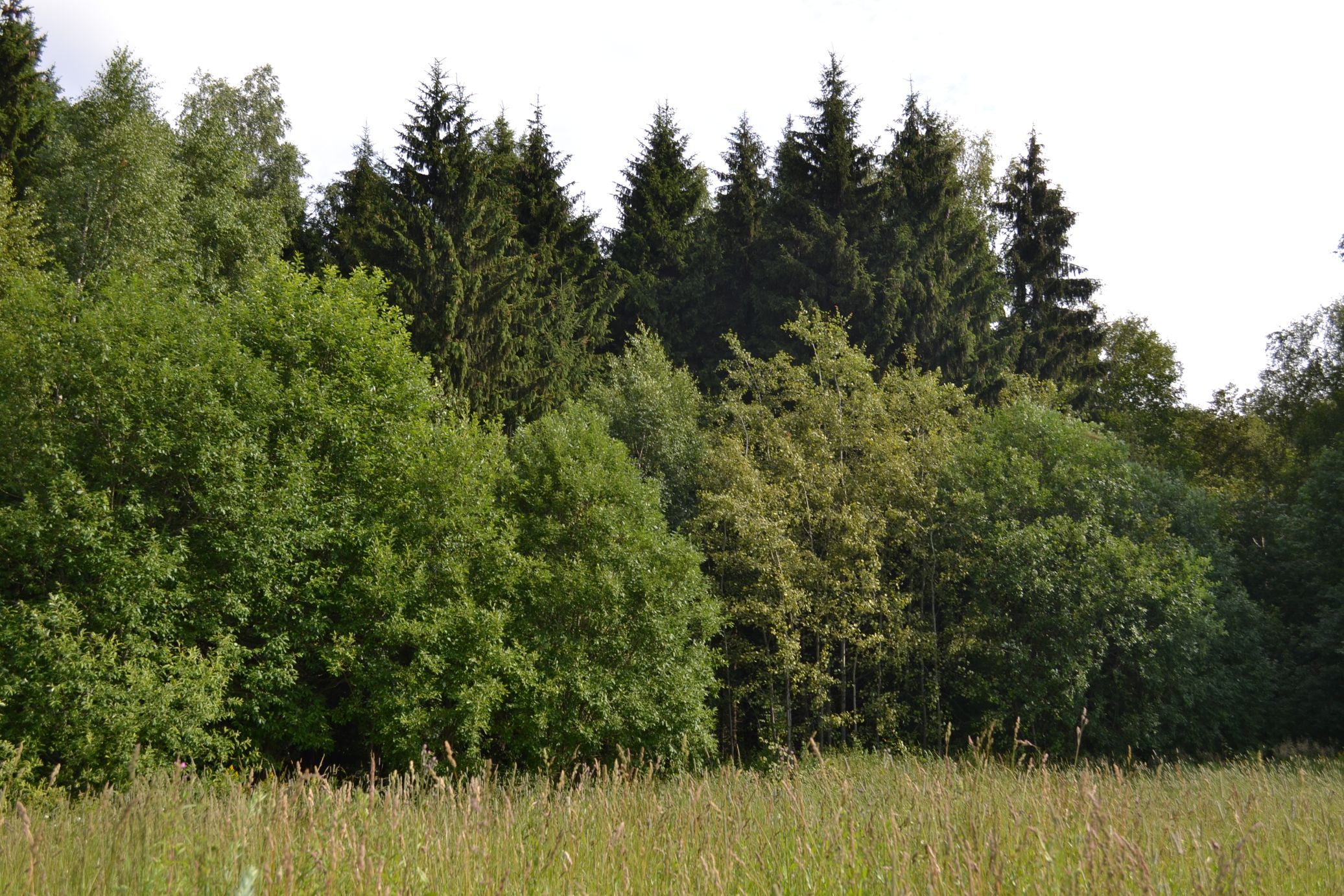 2014-07-04 16-05-20.JPG