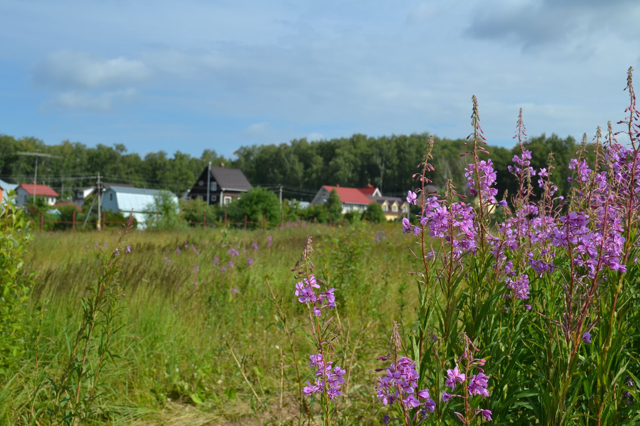 2014-07-04 15-54-44.JPG
