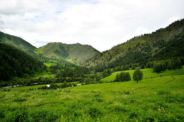 getImage (1).jpg