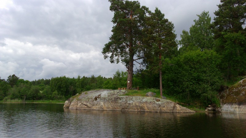 DSC_0730.JPG