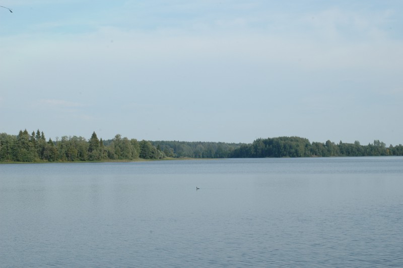 DSC_7921.JPG