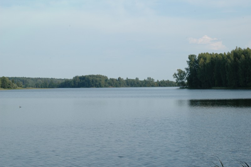 DSC_7922.JPG