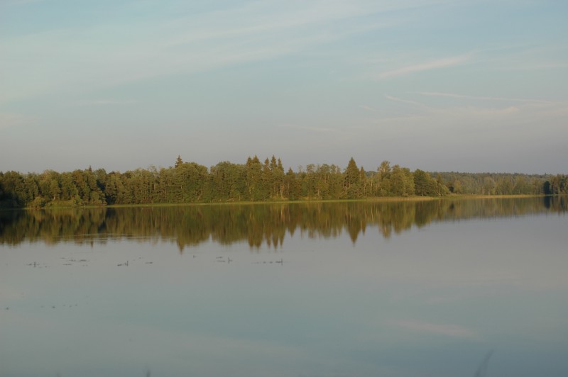 DSC_7978.JPG