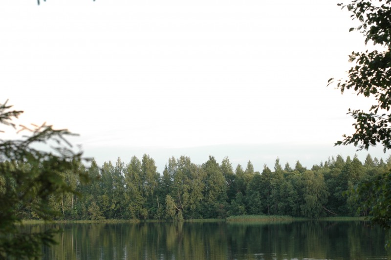 DSC_7933.JPG
