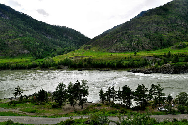 getImage (9).jpg