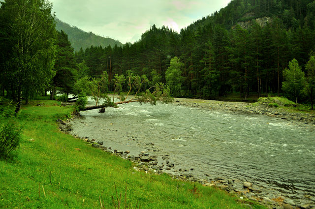 getImage (15).jpg