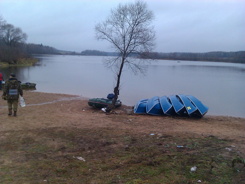 IMAG0229.jpg