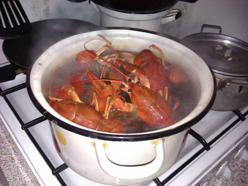 IMAG0271.jpg