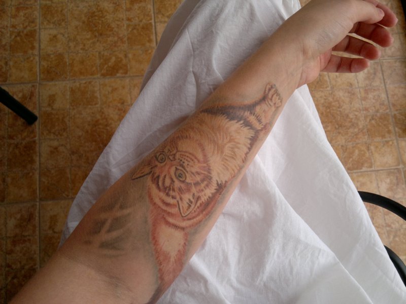 10082011003кот.jpg
