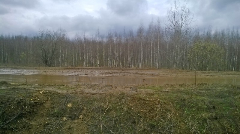 WP_20160415_001.jpg