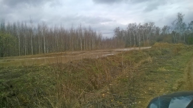 WP_20160415_002.jpg