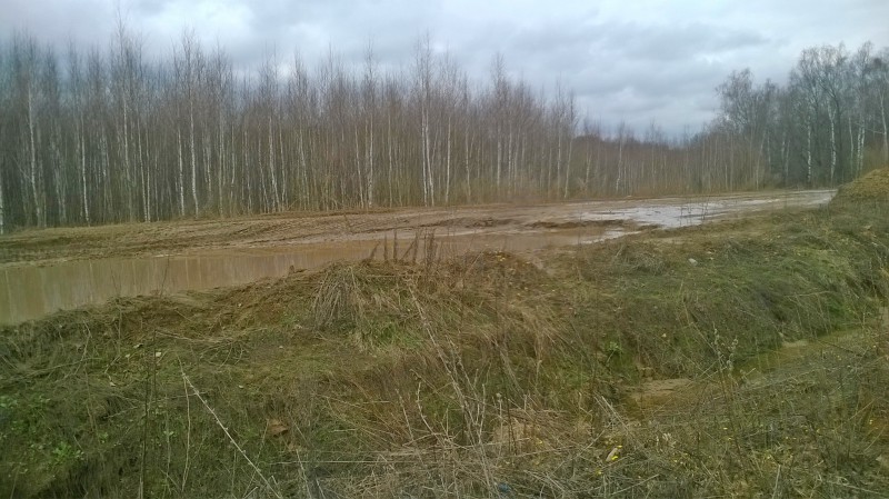 WP_20160415_003.jpg