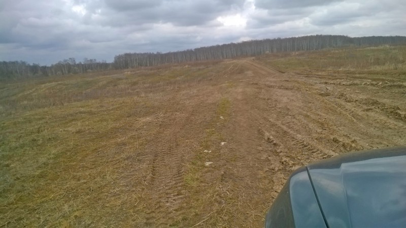 WP_20160415_010.jpg