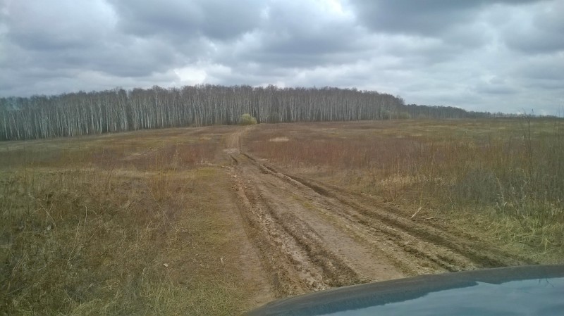 WP_20160415_012.jpg