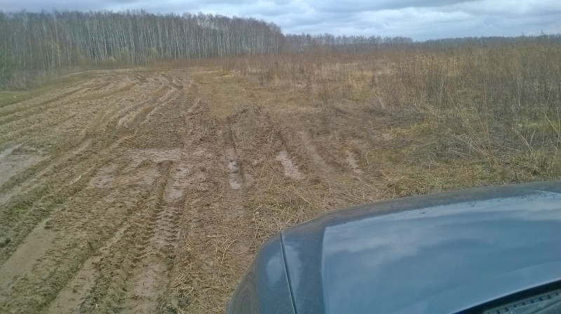 WP_20160415_013.jpg
