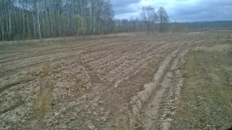 WP_20160415_014.jpg