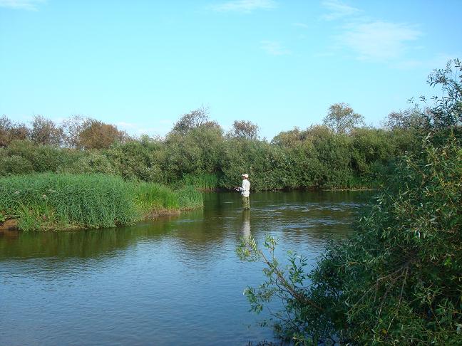 DSC02824.JPG