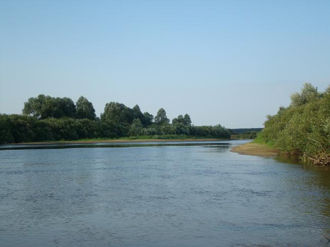 DSC02827.JPG